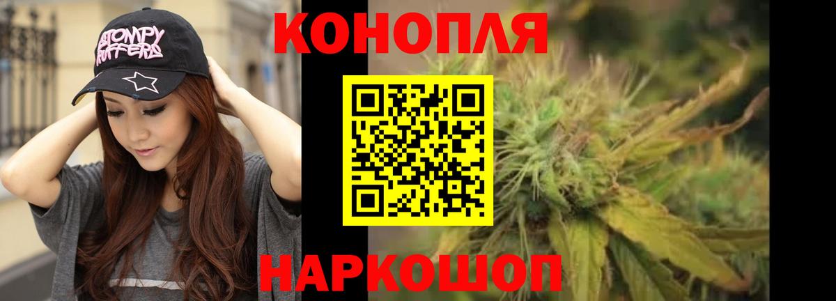 Конопля Amnesia  Конопля ГИДРОПОН  Шелехов  Вход с VPN  Бошки марихуана план 
